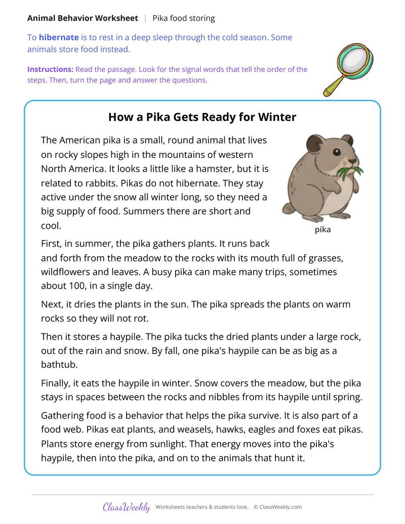 How a Pika Gets Ready for Winter, Read and Answer - Page 1
