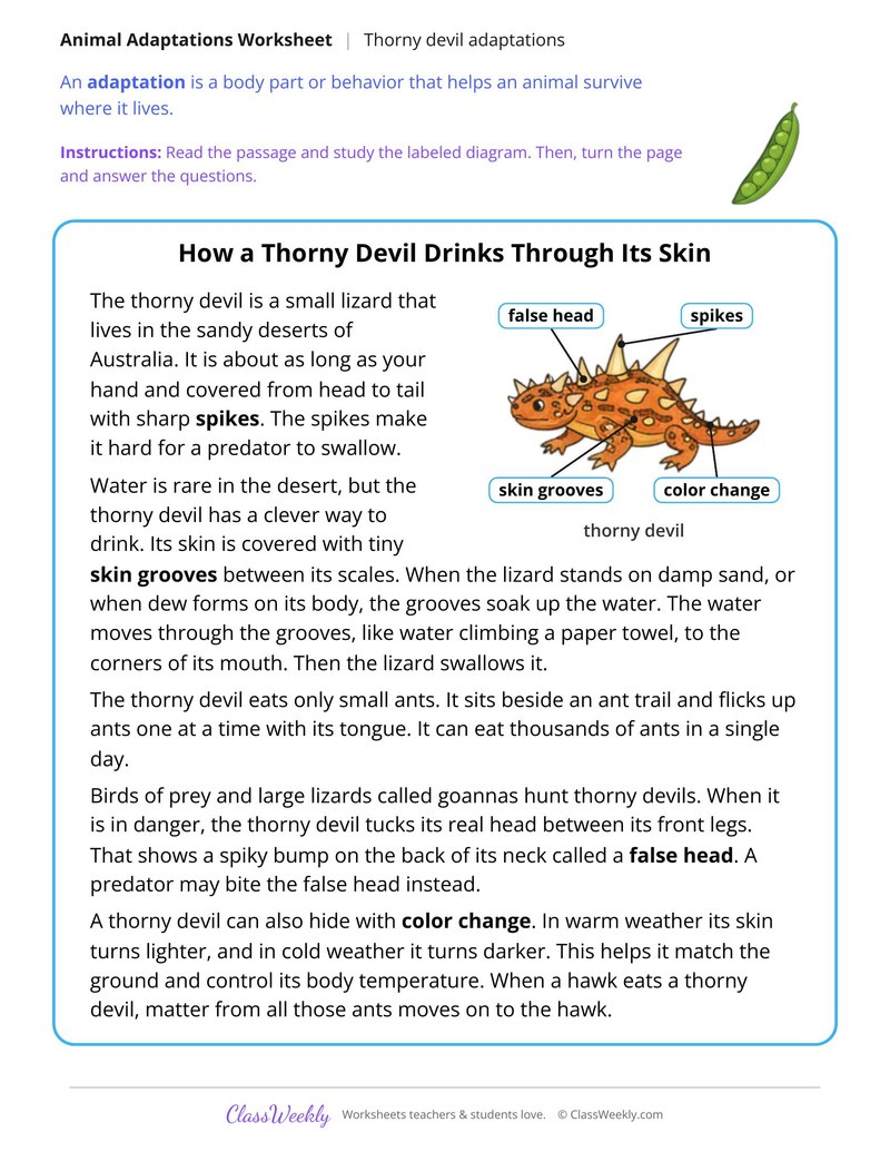How a Thorny Devil Drinks Through Its Skin, Read and Answer - Page 1