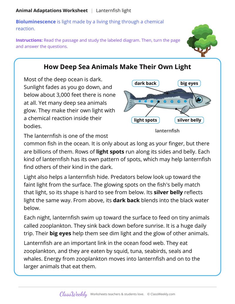 How Deep Sea Animals Make Their Own Light, Read and Answer - Page 1