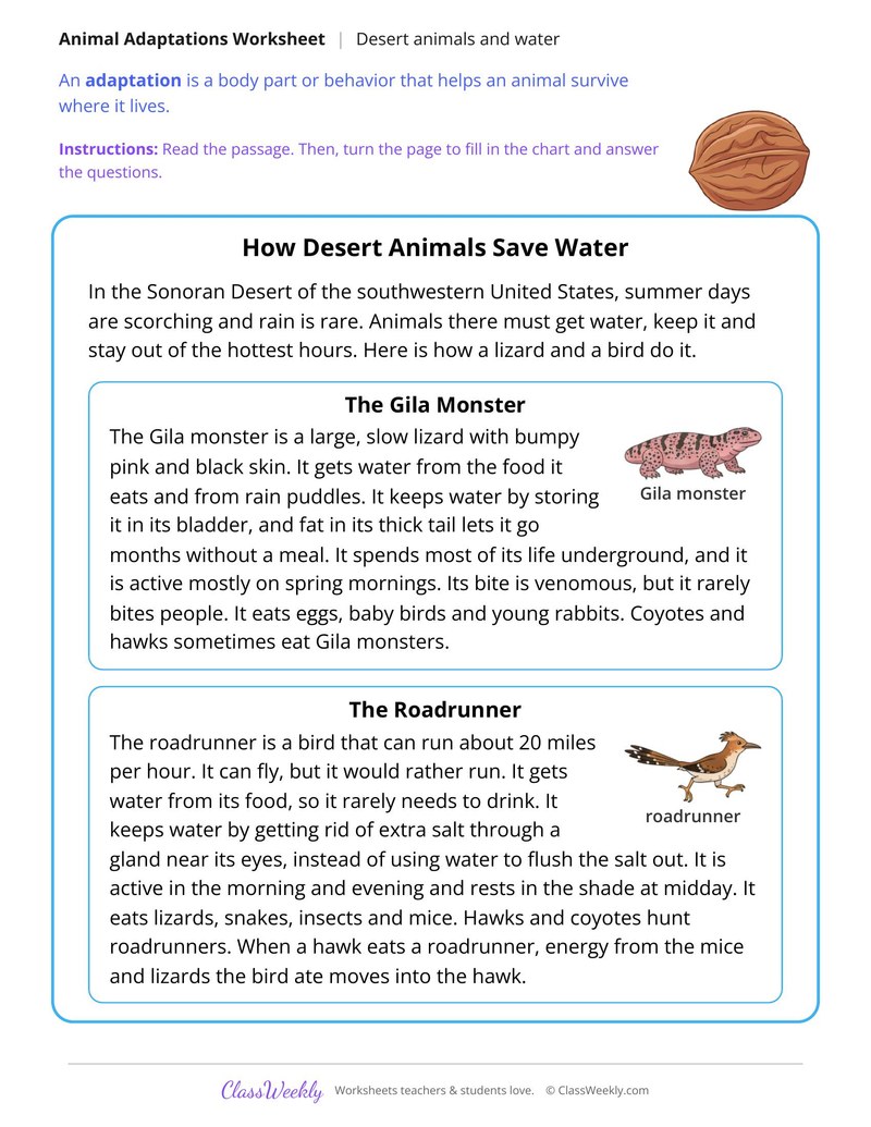 How Desert Animals Save Water, Read and Compare - Page 1