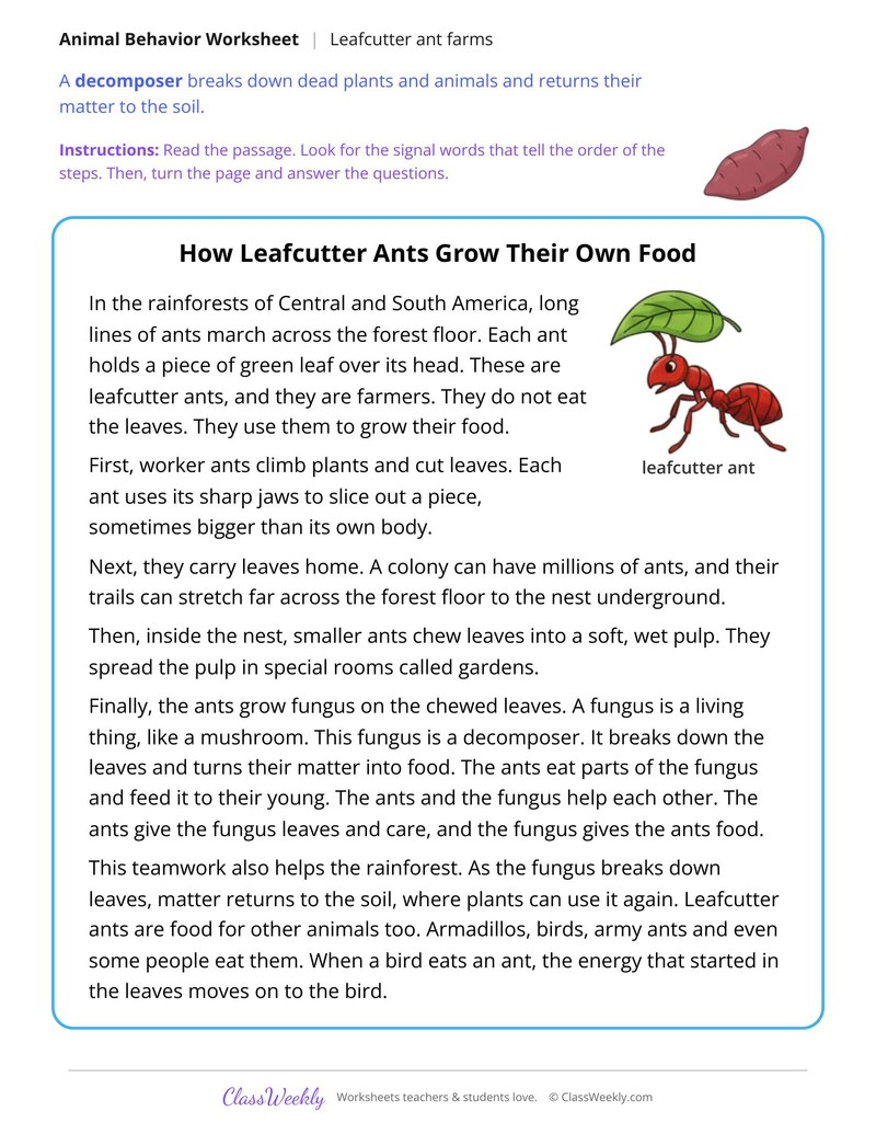How Leafcutter Ants Grow Their Own Food, Read and Answer - Page 1