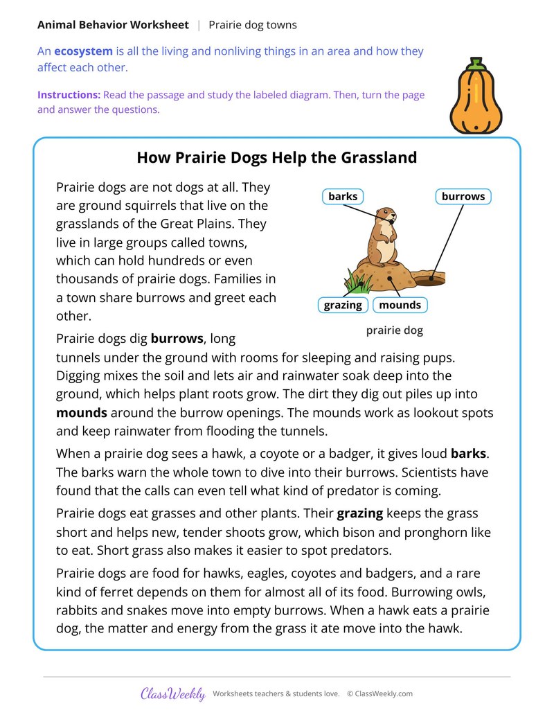 How Prairie Dogs Help the Grassland, Read and Answer - Page 1