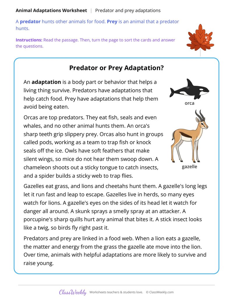 Predator or Prey Adaptation? Read and Sort - Page 1