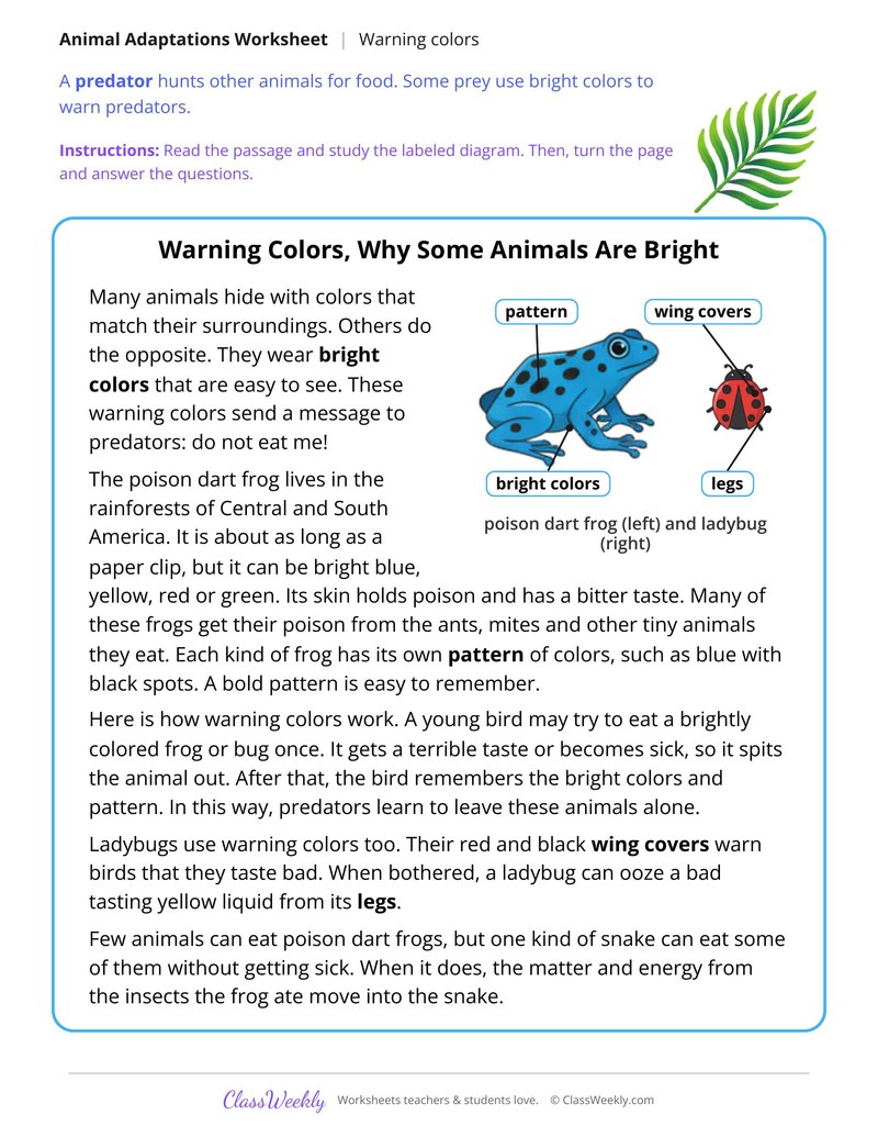 Warning Colors, Why Some Animals Are Bright, Read and Answer - Page 1