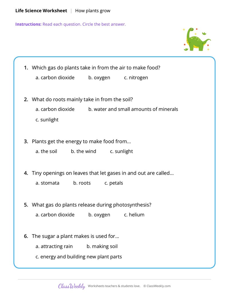 Life Science: How plants grow
