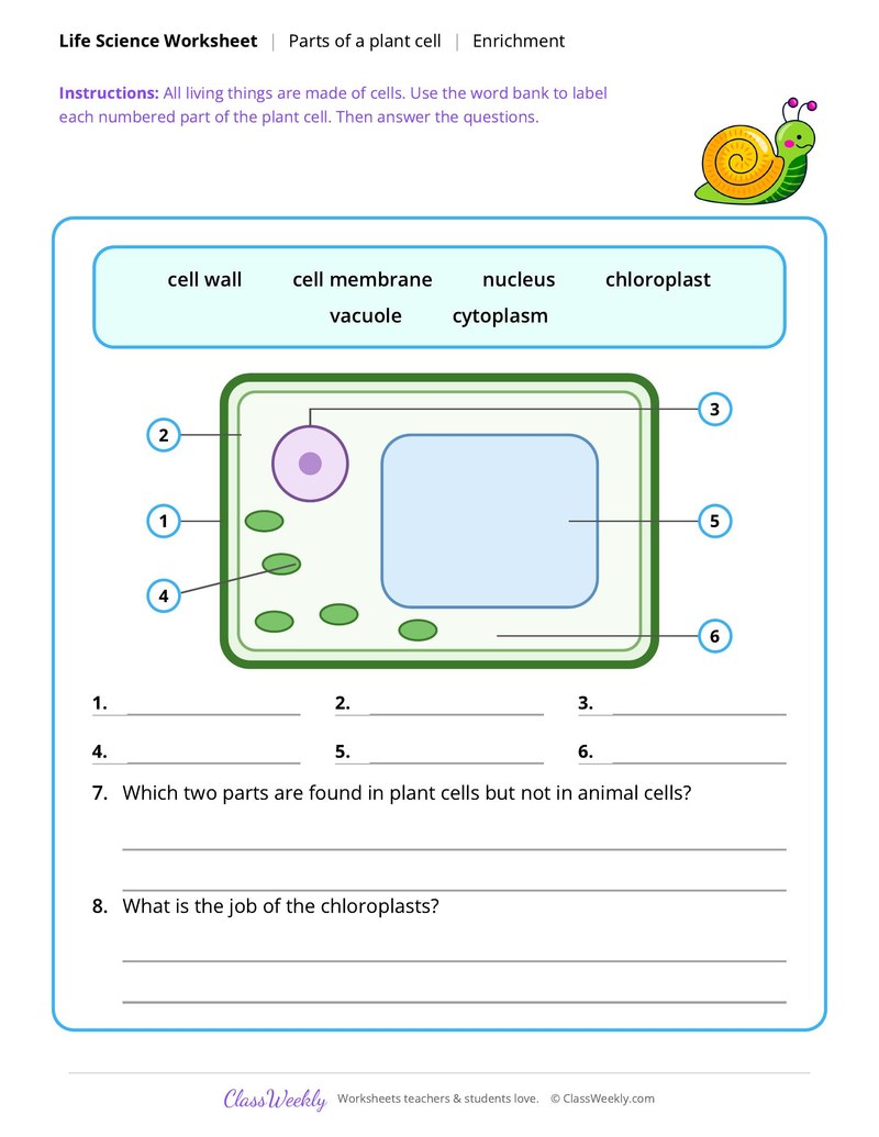 Life Science: Parts of a plant cell