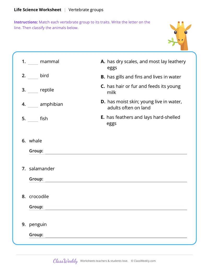Life Science: Vertebrate groups
