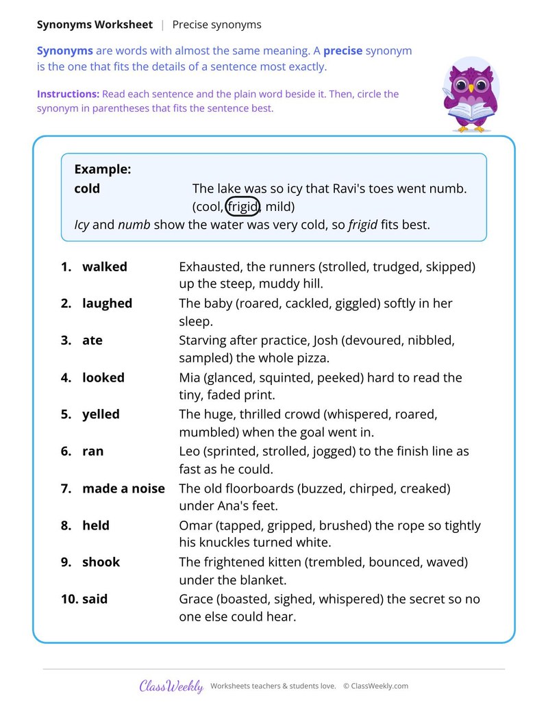 Precise Synonyms