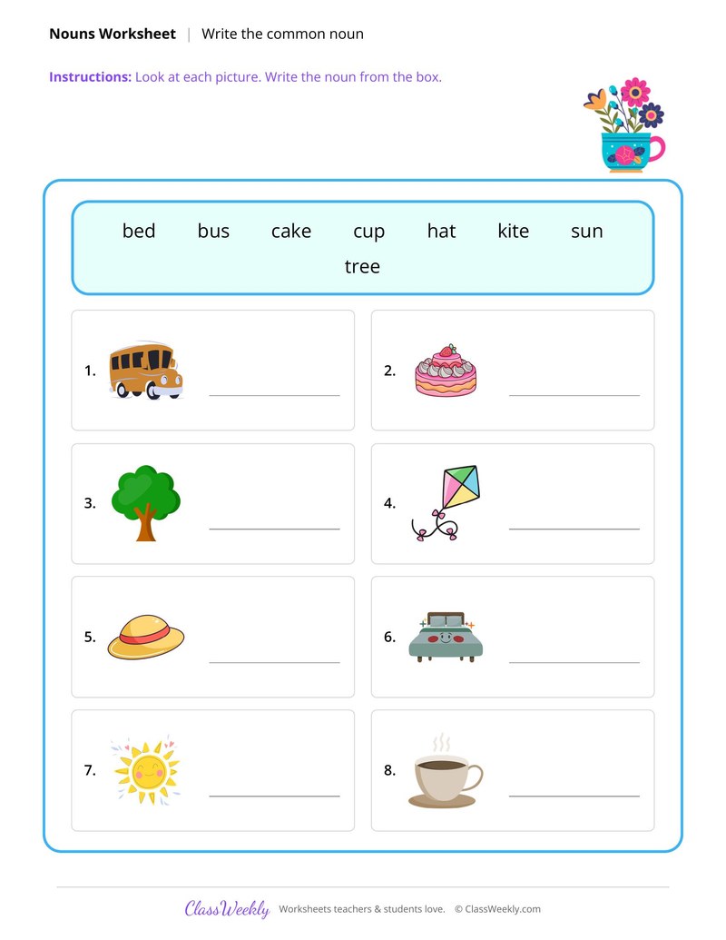 Write the common noun for each picture