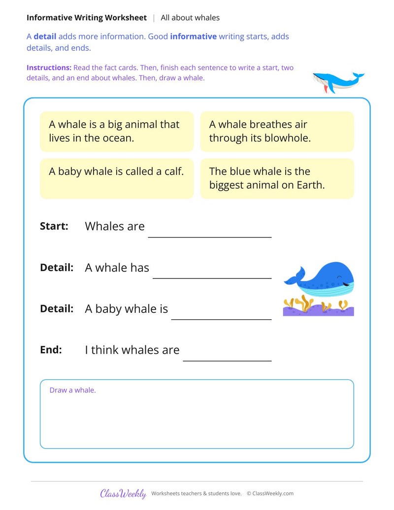 All About Whales Informative Writing