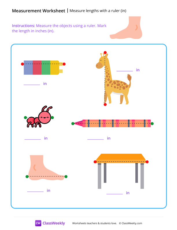 Measure lengths with a ruler (in)