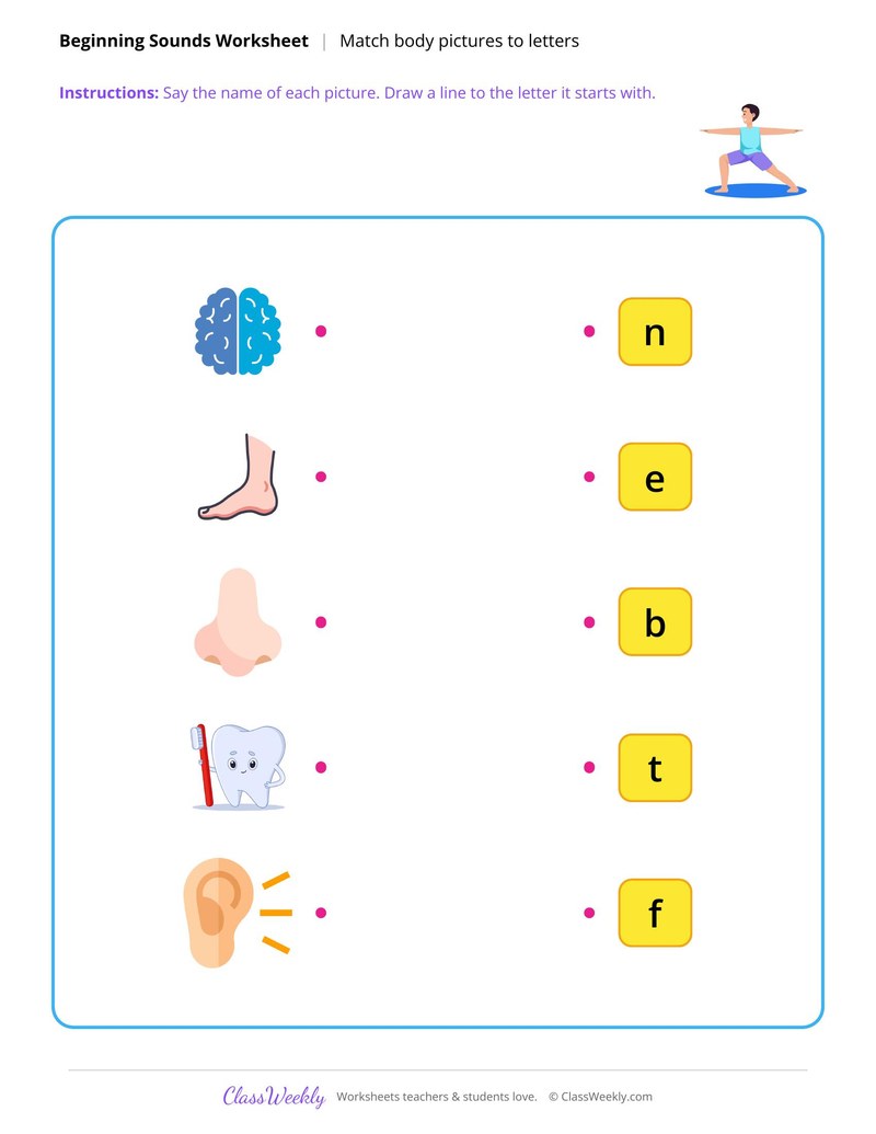 Human Body