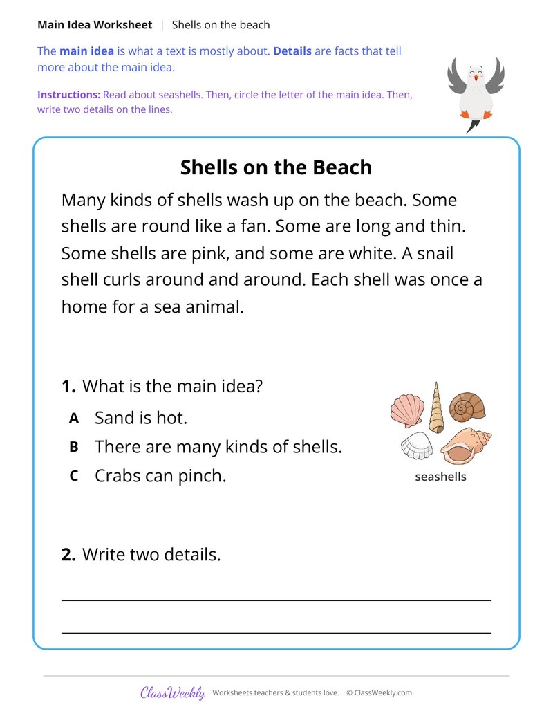 Shells on the Beach (Main Idea)