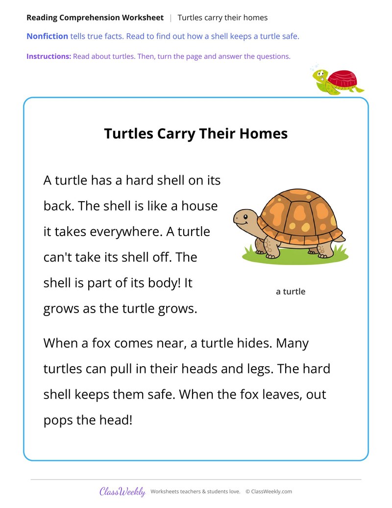 Turtles Carry Their Homes (Short Read) - Page 1