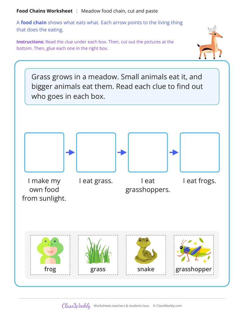 Meadow Food Chain Cut and Paste