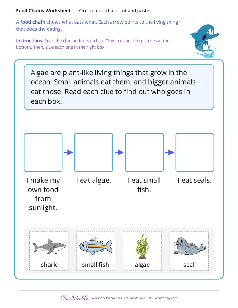 Ocean Food Chain Cut and Paste