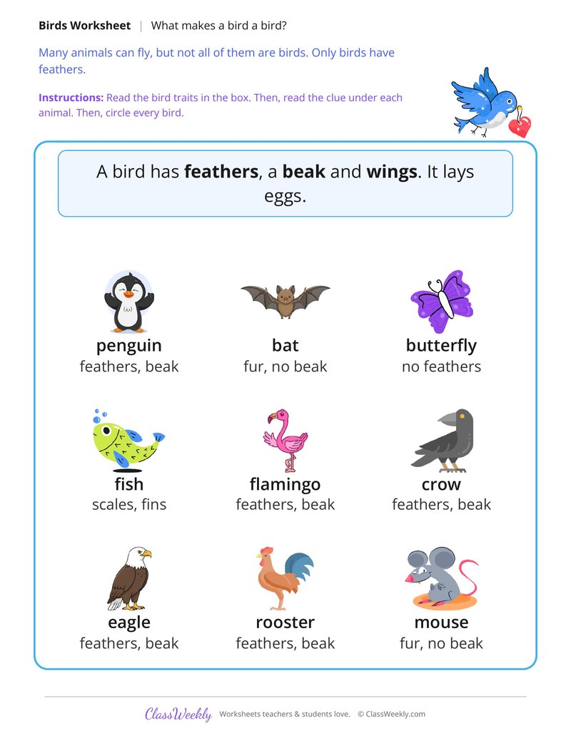What Makes a Bird a Bird?