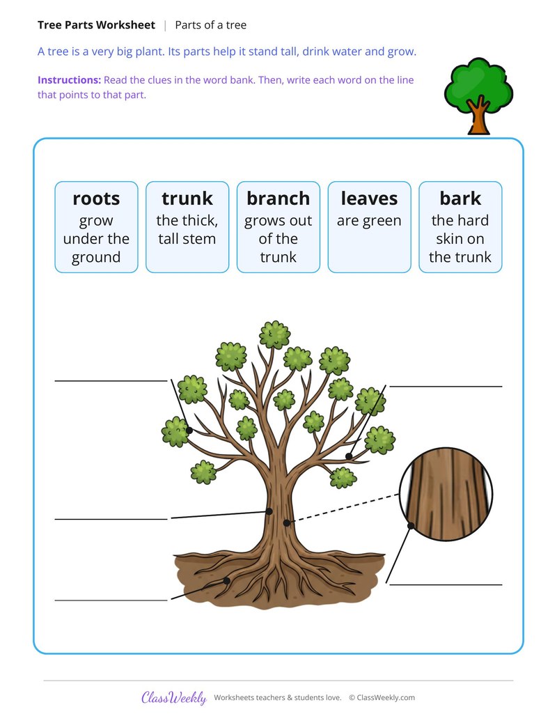 Write the Parts of a Tree