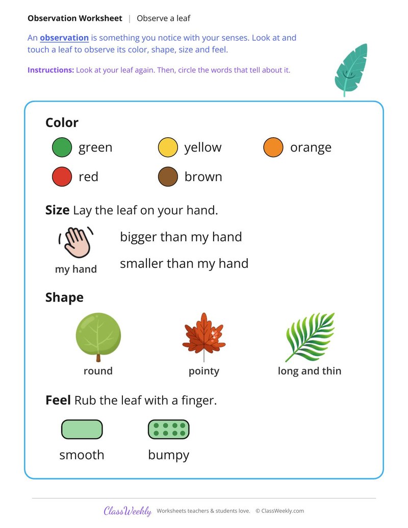 Observe a Leaf