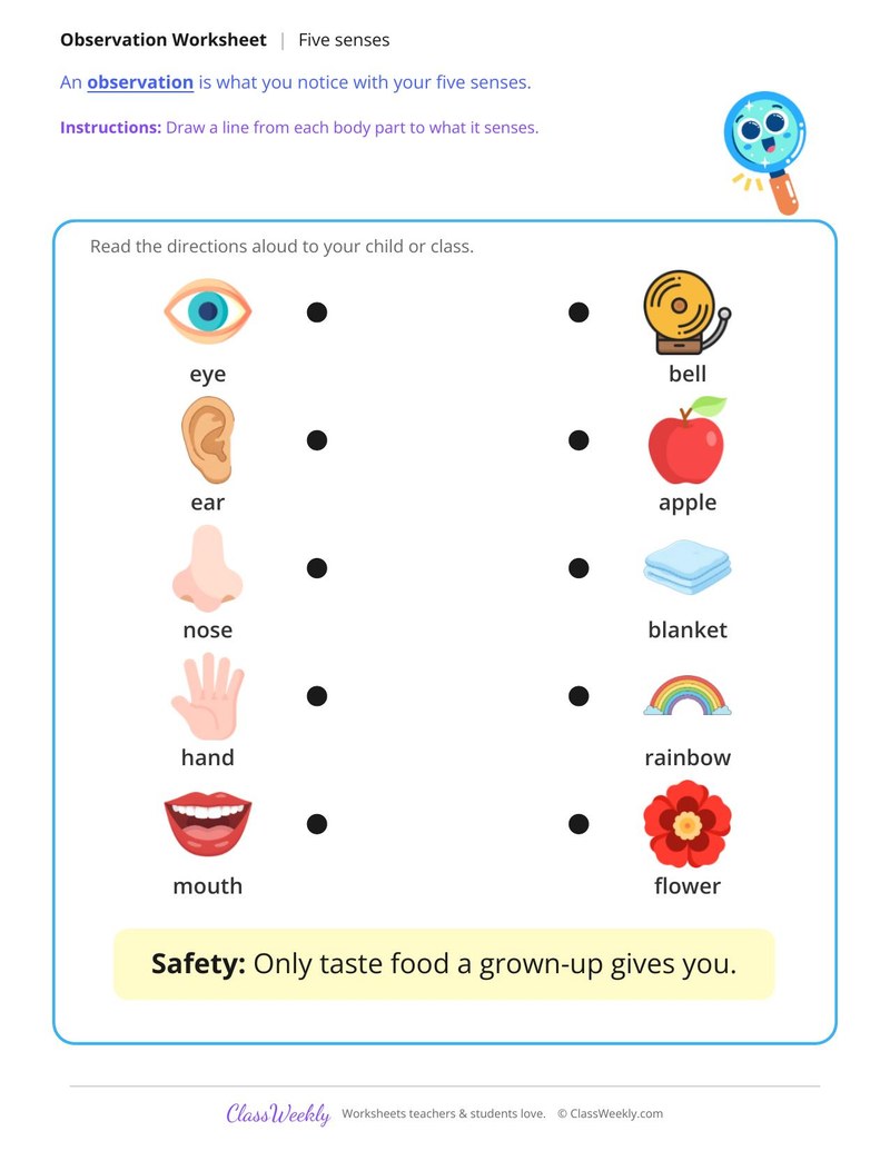 Observe with Your Five Senses