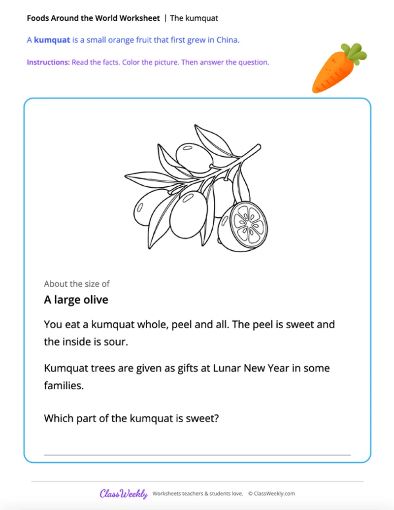 The kumquat