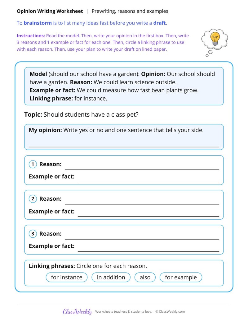 Brainstorm Reasons and Examples for an Opinion Essay