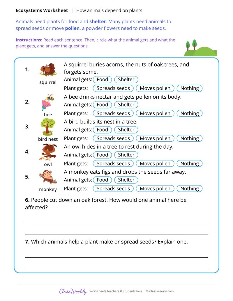How Animals Depend on Plants