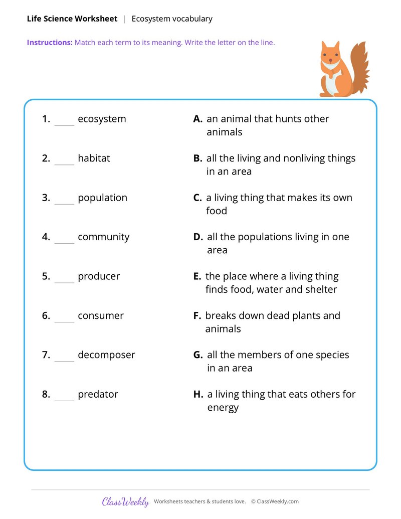 Life Science: Ecosystem vocabulary