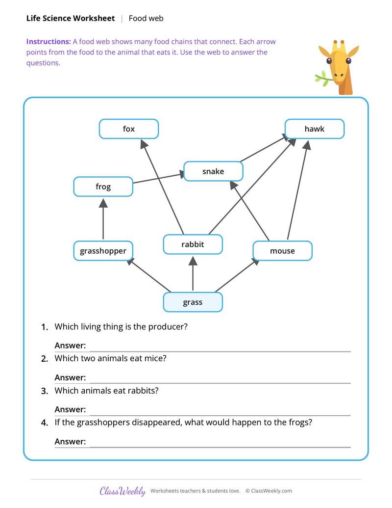 Life Science: Food web