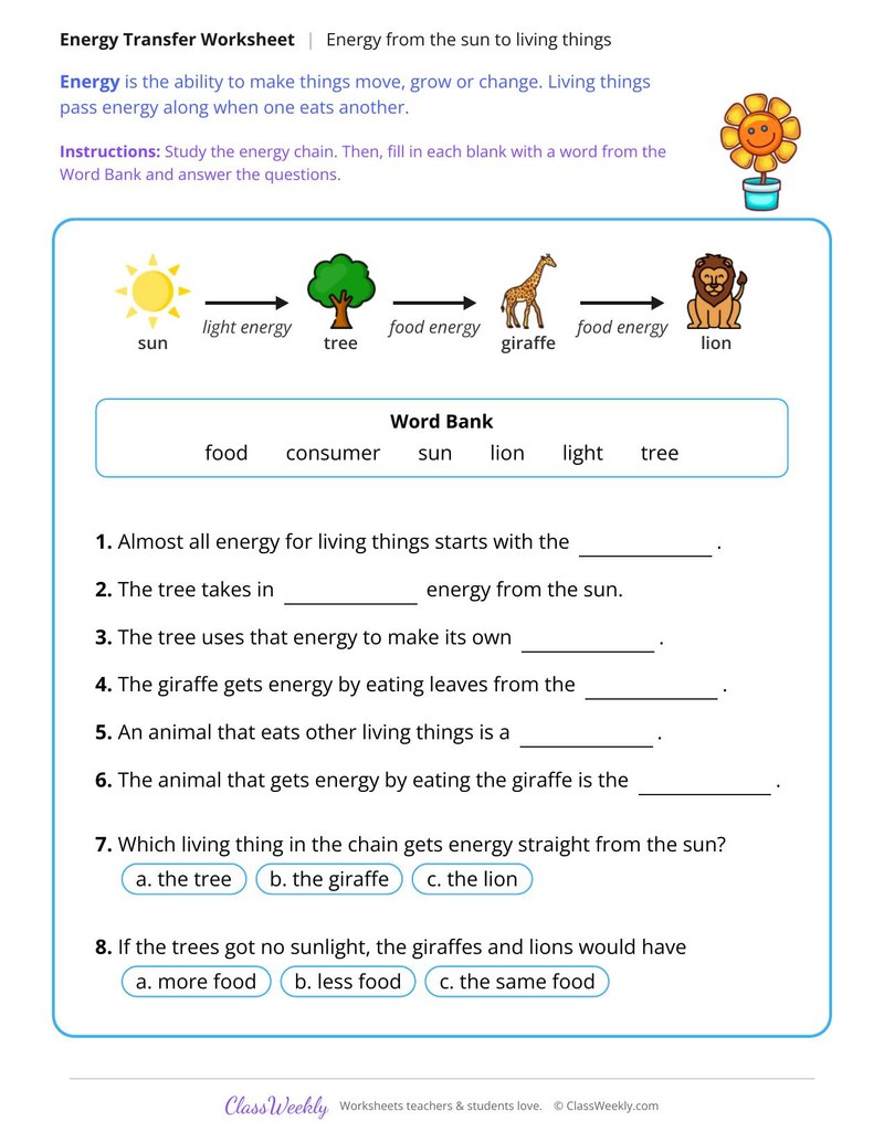 Energy From the Sun to Living Things