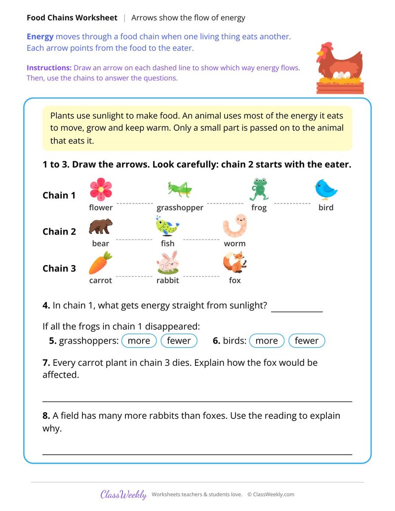 Arrows Show the Flow of Energy