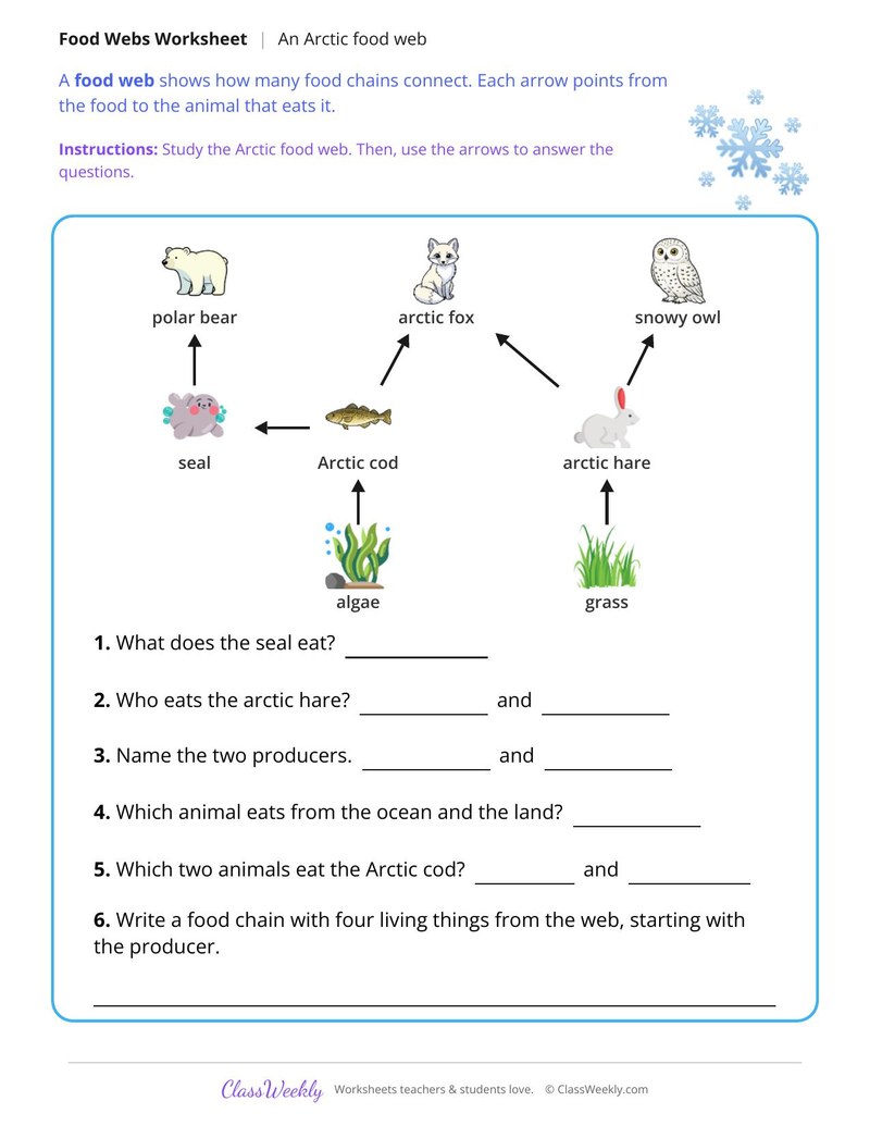 Read an Arctic Food Web