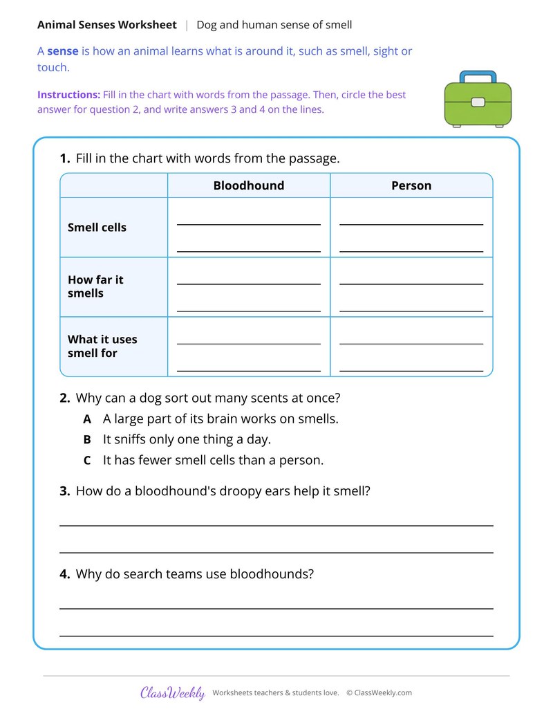 A Dog's Nose and a Person's Nose, Read and Compare - Page 2