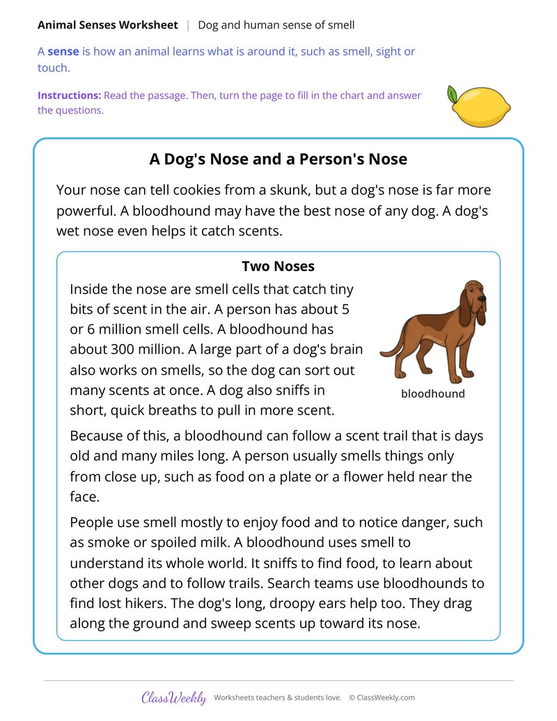 A Dog's Nose and a Person's Nose, Read and Compare - Page 1