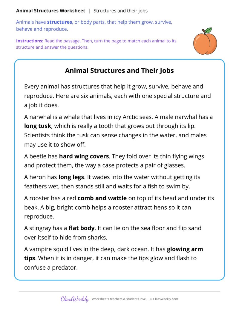 Animal Structures and Their Jobs, Read and Match - Page 1