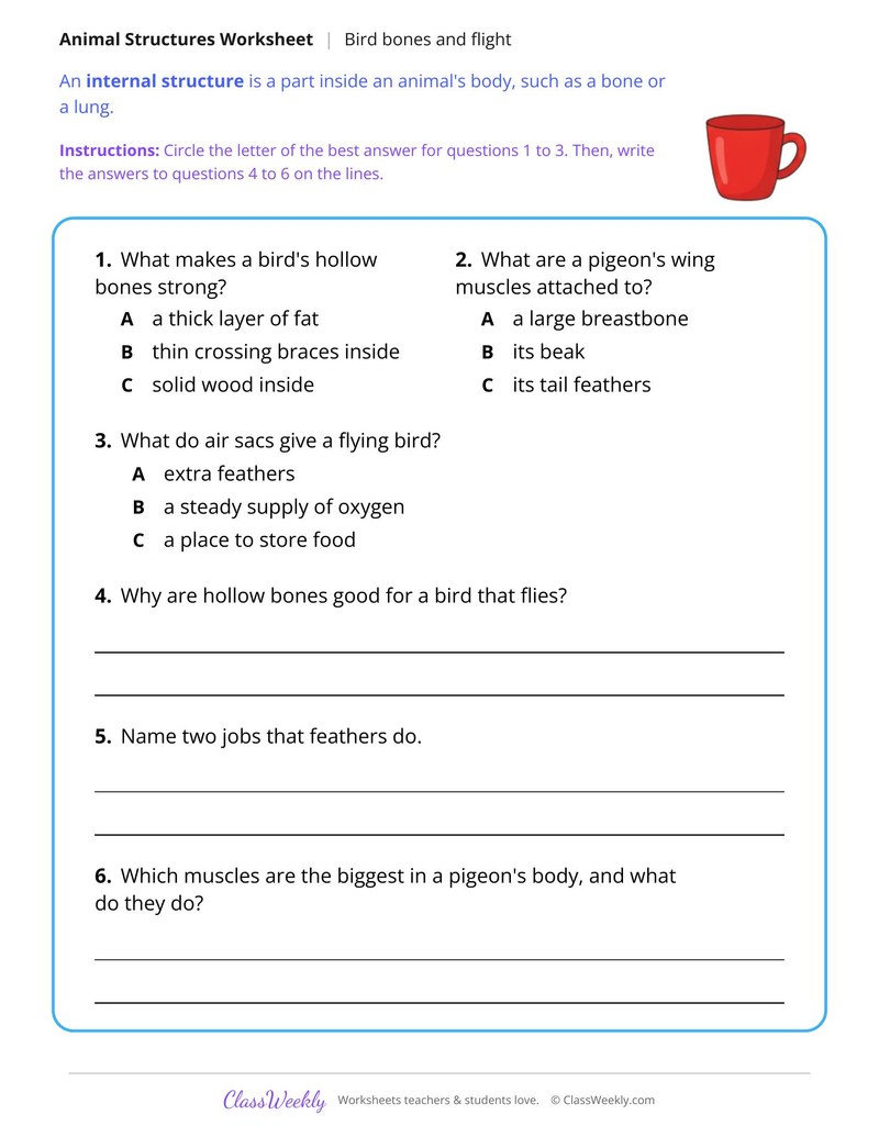 Hollow Bones Help Birds Fly, Read and Answer - Page 2