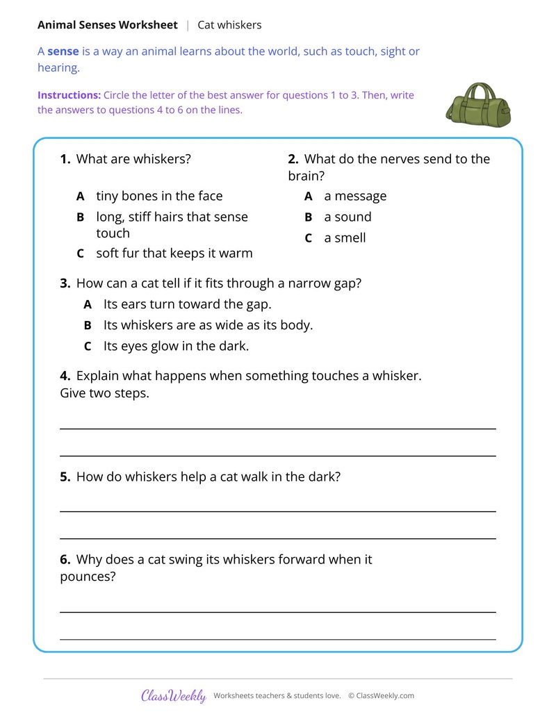 How a Cat's Whiskers Sense the World, Read and Answer - Page 2