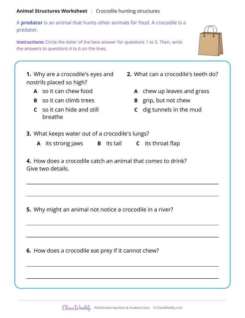 How a Crocodile Hunts in the Water, Read and Answer - Page 2