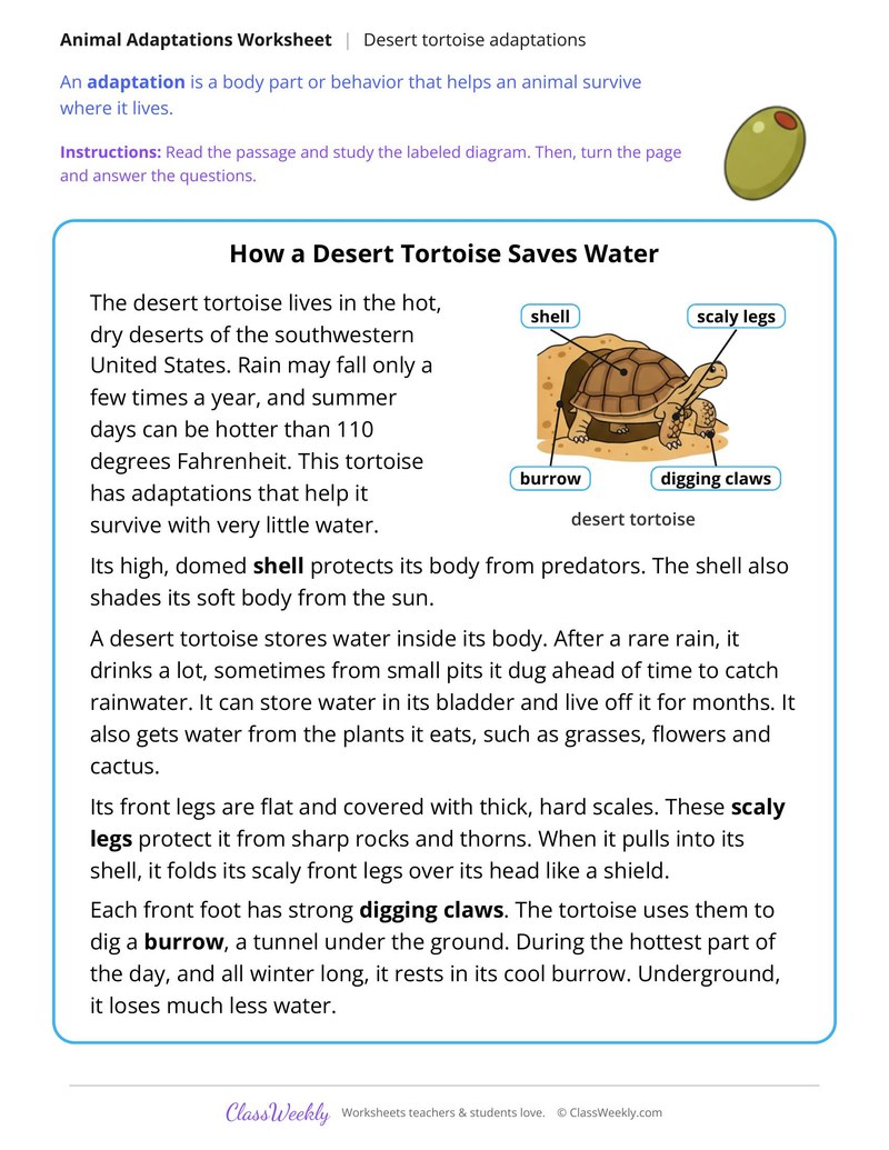 How a Desert Tortoise Saves Water, Read and Answer - Page 1