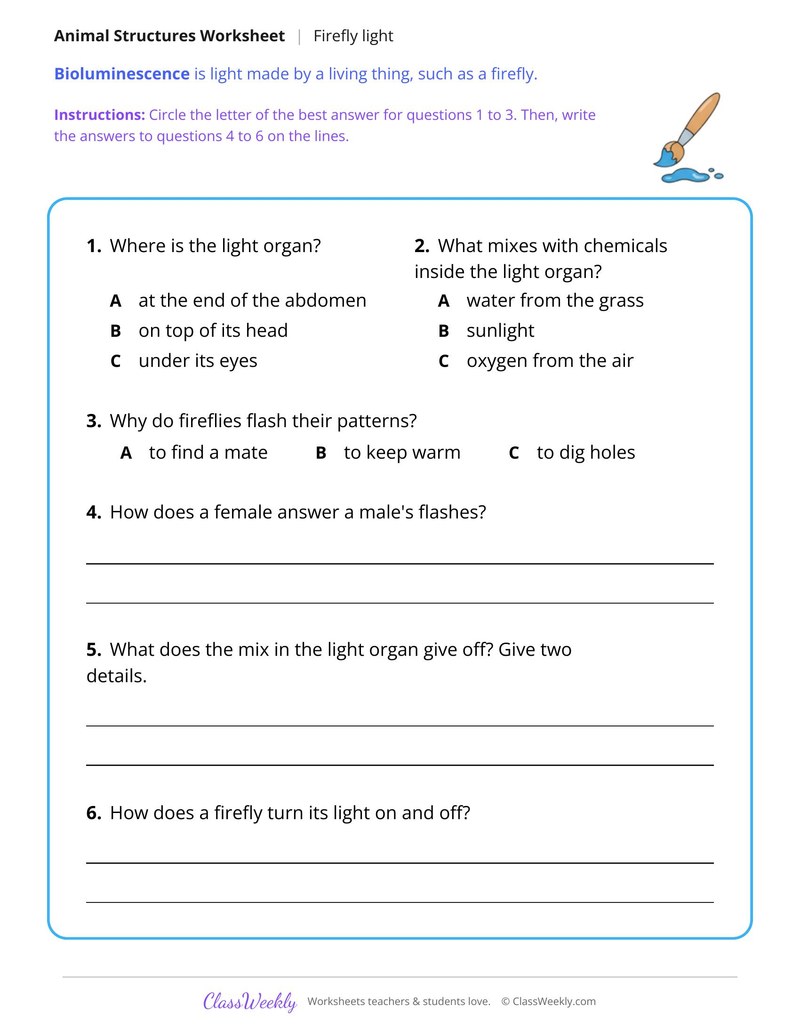 How a Firefly Makes Light, Read and Answer - Page 2