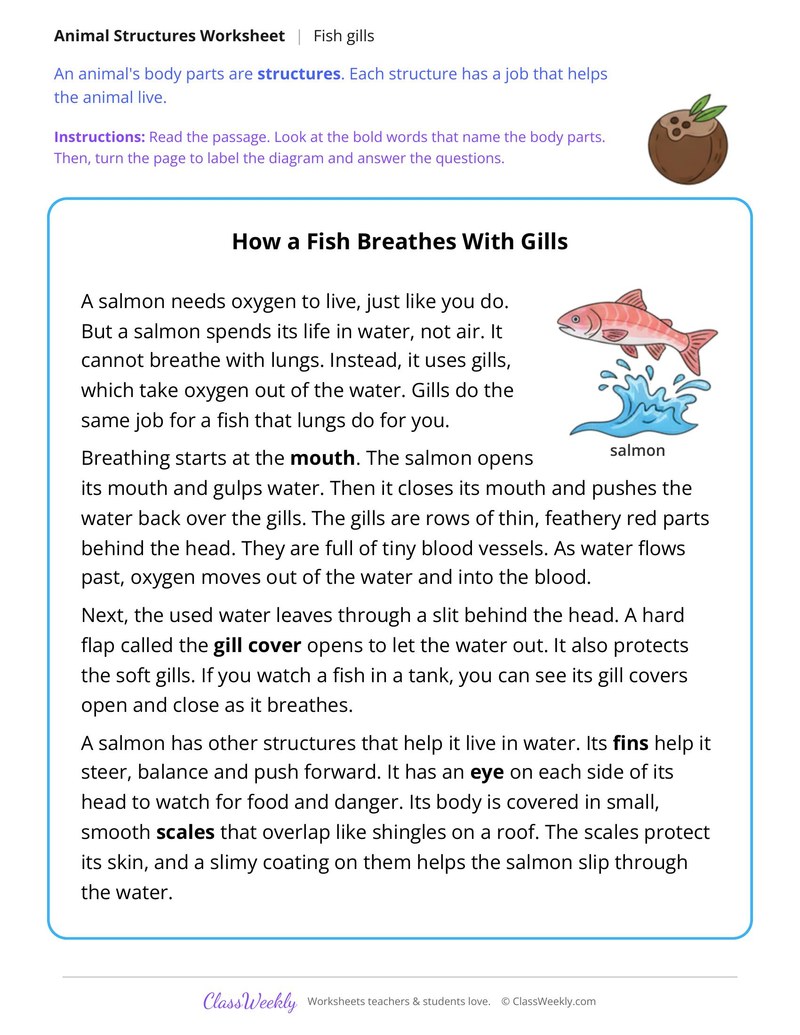 How a Fish Breathes With Gills, Read and Label - Page 1