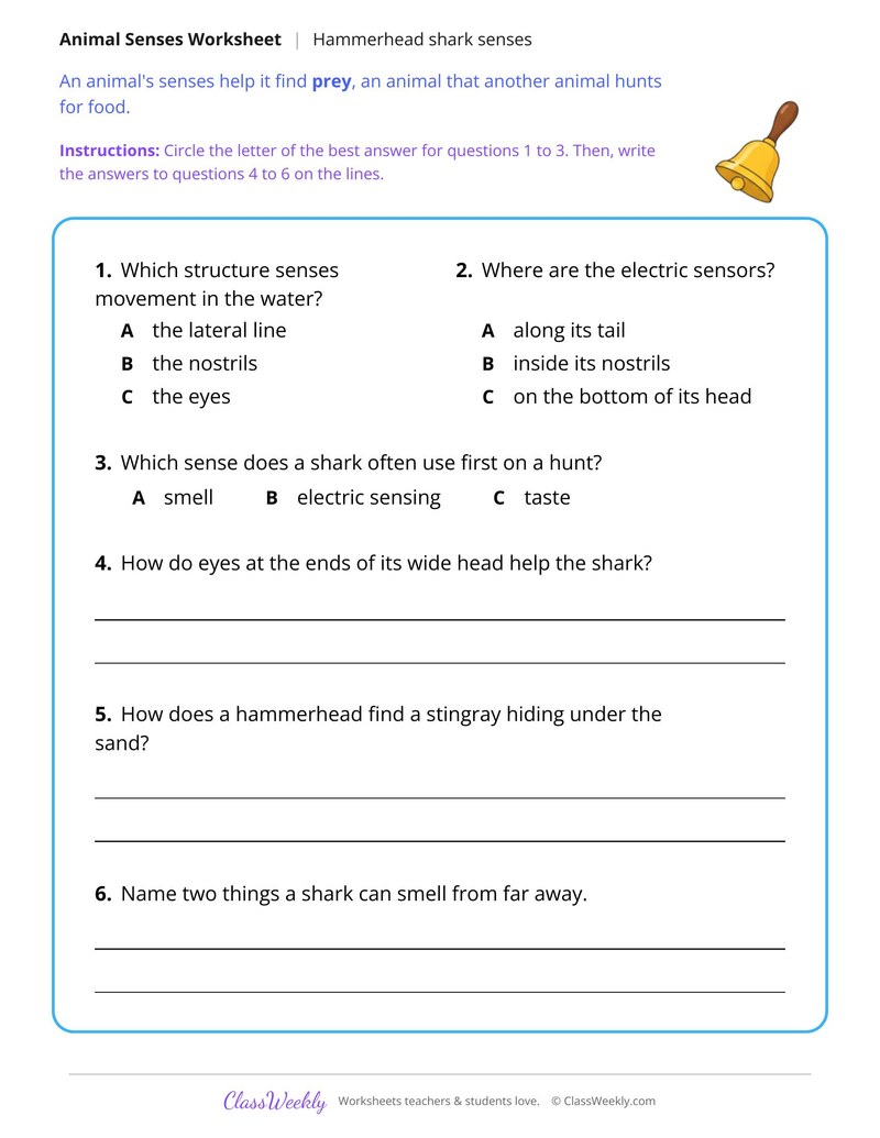 How a Hammerhead Shark Senses Its Prey, Read and Answer - Page 2