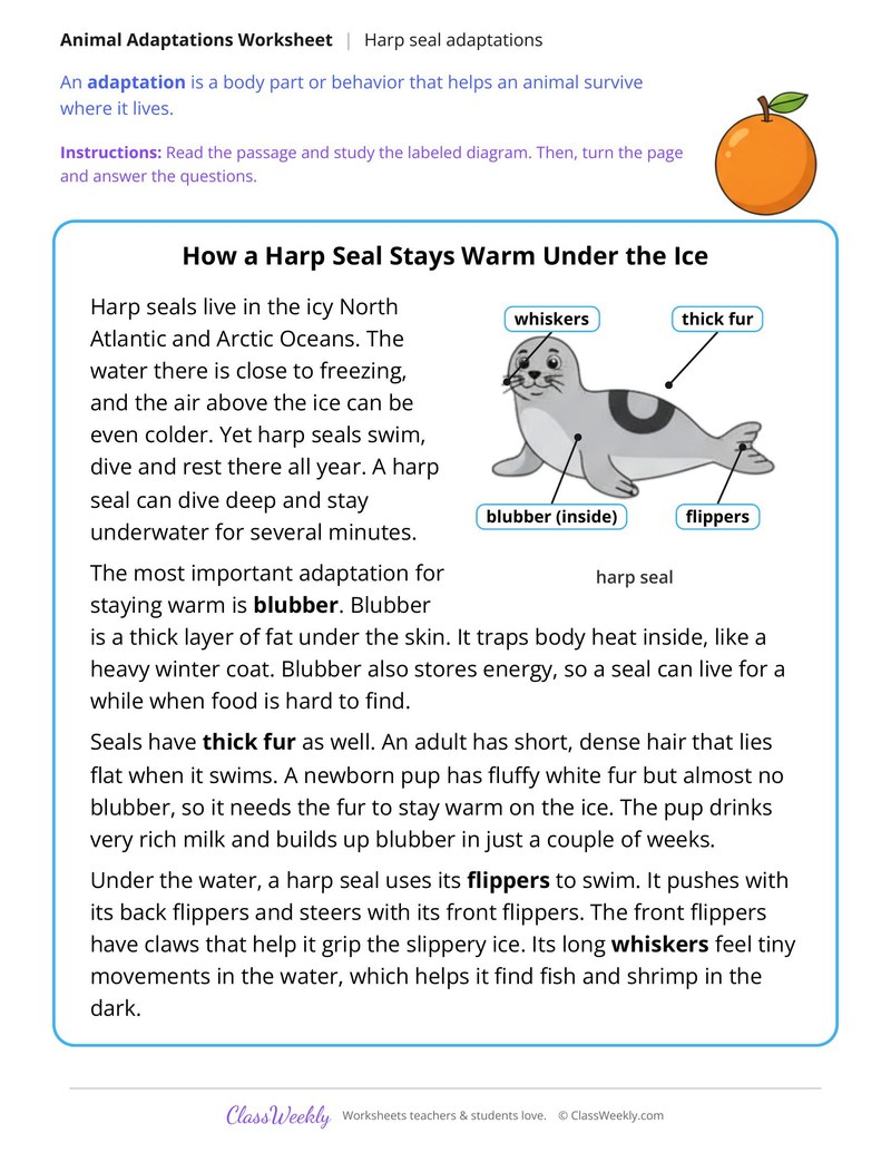 How a Harp Seal Stays Warm Under the Ice, Read and Answer - Page 1