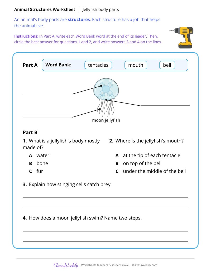 How a Jellyfish Stings Its Prey, Read and Label - Page 2