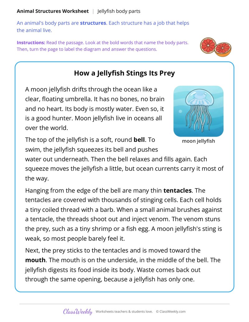 How a Jellyfish Stings Its Prey, Read and Label - Page 1