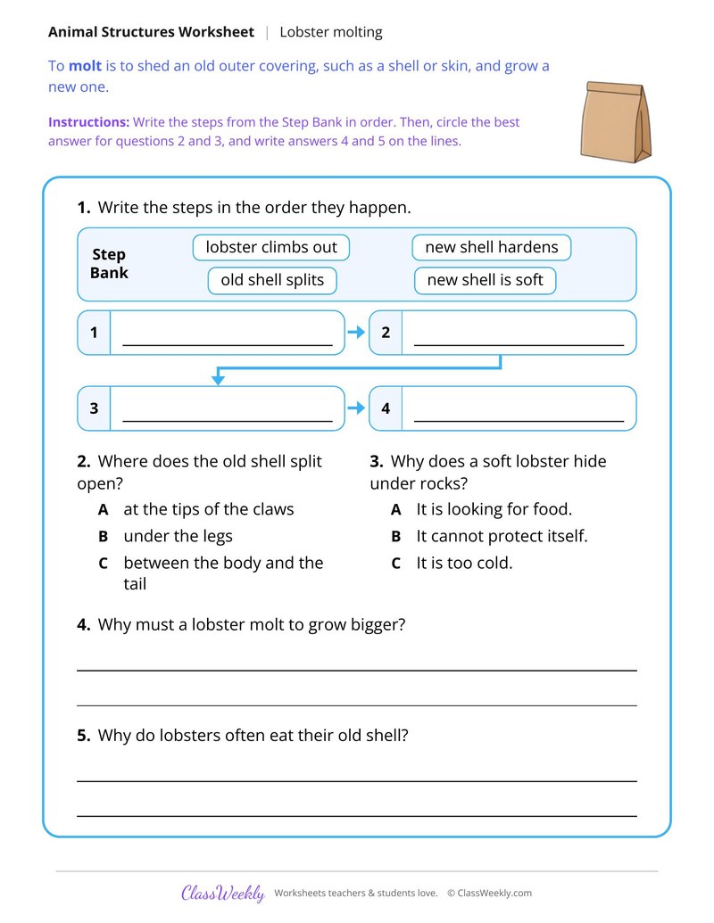 How a Lobster Grows a New Shell, Read and Answer - Page 2