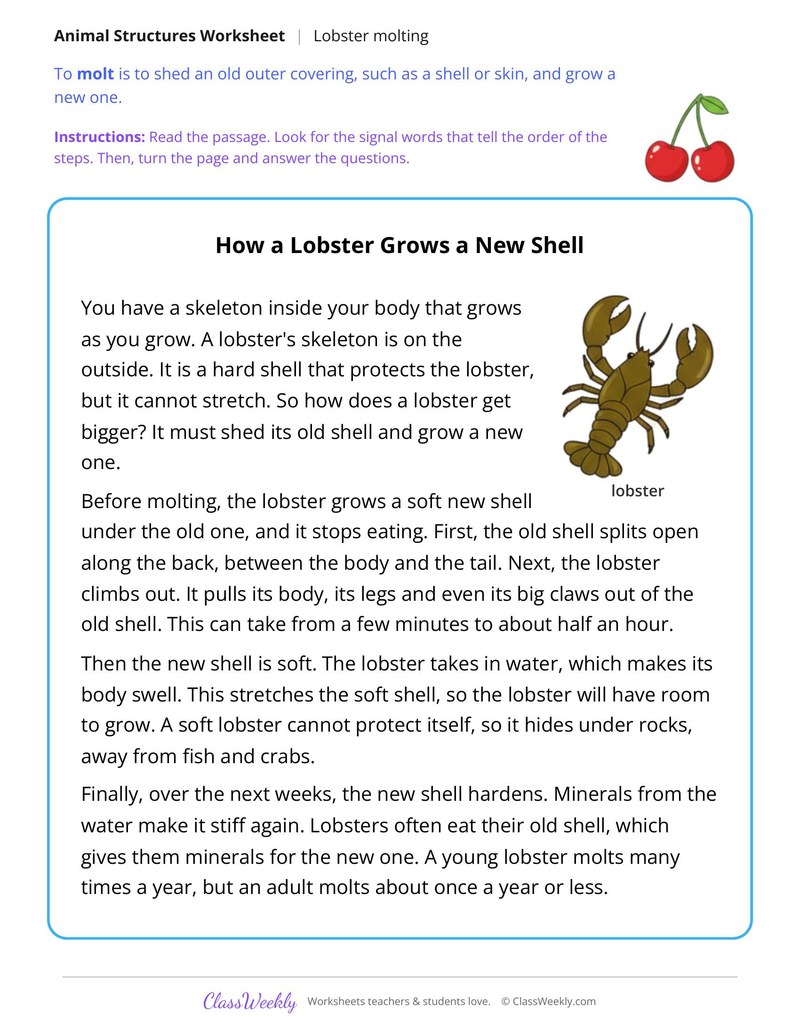 How a Lobster Grows a New Shell, Read and Answer - Page 1