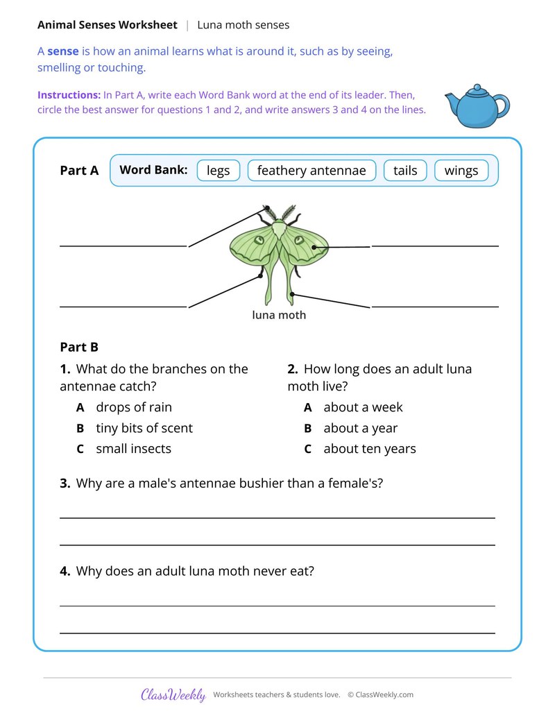 How a Moth Smells With Its Antennae, Read and Answer - Page 2