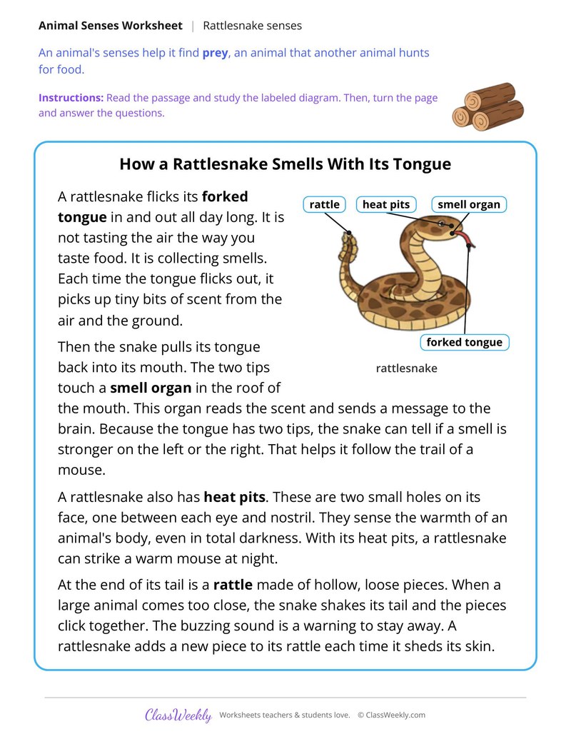 How a Rattlesnake Smells With Its Tongue, Read and Answer - Page 1
