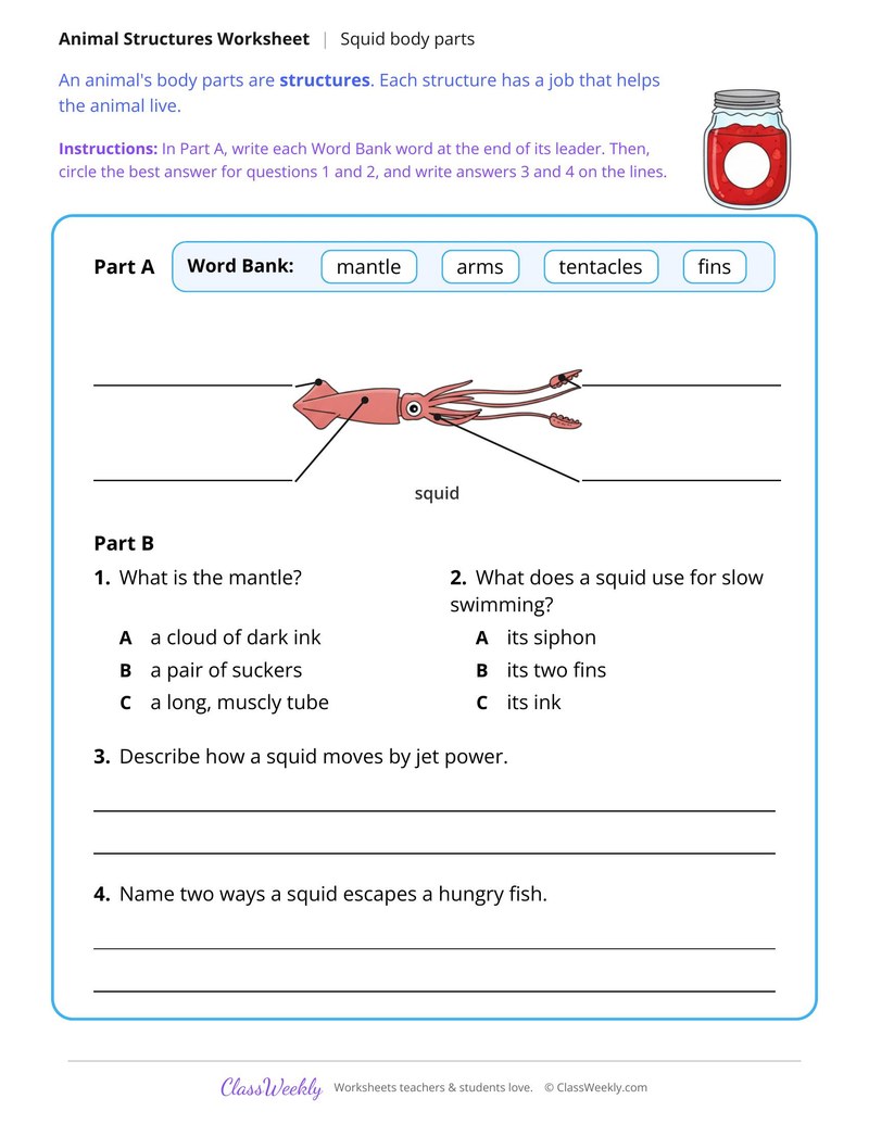 How a Squid Uses Jet Power, Read and Label - Page 2